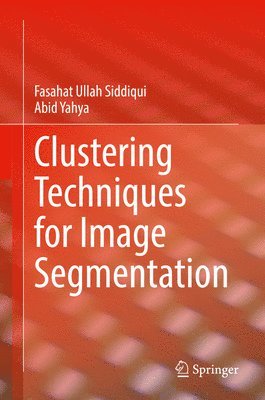 bokomslag Clustering Techniques for Image Segmentation