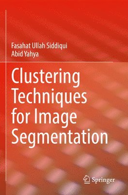 bokomslag Clustering Techniques for Image Segmentation