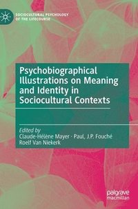 bokomslag Psychobiographical Illustrations on Meaning and Identity in Sociocultural Contexts