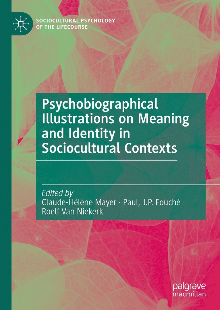 Claude-Hélène Mayer, J.P. Fouché, Paul, Roelf Van Niekerk, Claude-Helene Mayer, J.P. Fouche, Paul, Fouché, Roelf van Niekerk, Paul Fouché - Psychobiographical Illustrations on Meaning and Identity in Sociocultural Contexts, Inbunden