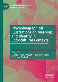 bokomslag Psychobiographical Illustrations on Meaning and Identity in Sociocultural Contexts