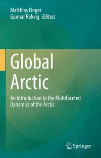 bokomslag Global Arctic