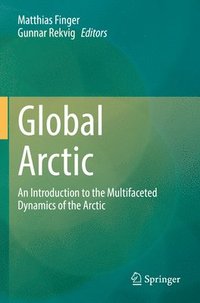 bokomslag Global Arctic