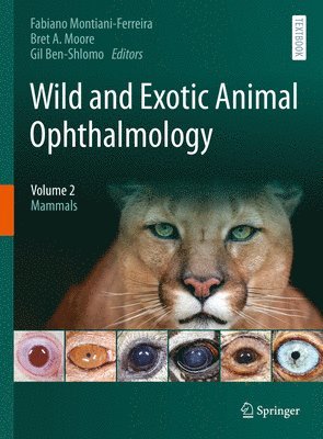 bokomslag Wild and Exotic Animal Ophthalmology