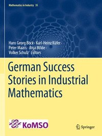 bokomslag German Success Stories in Industrial Mathematics