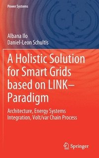 bokomslag A Holistic Solution for Smart Grids based on LINK Paradigm