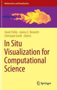 bokomslag In Situ Visualization for Computational Science