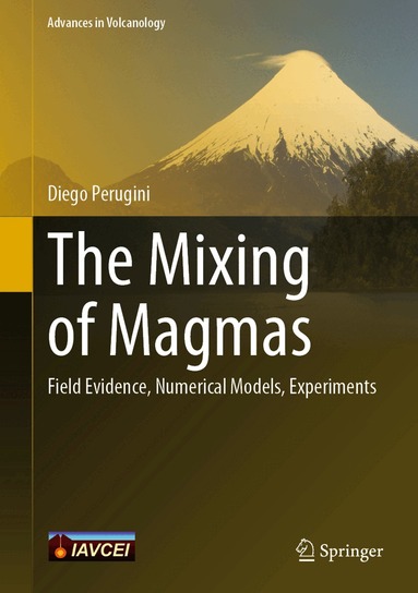 Diego Perugini - Mixing of Magmas, Inbunden