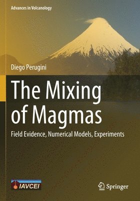 bokomslag Mixing of Magmas