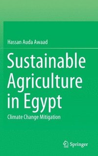 bokomslag Sustainable Agriculture in Egypt