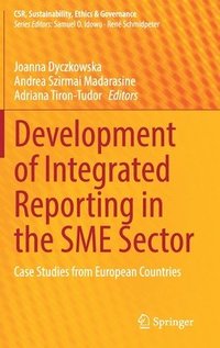 bokomslag Development of Integrated Reporting in the SME Sector
