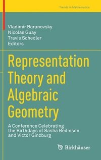 bokomslag Representation Theory and Algebraic Geometry