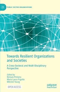 bokomslag Towards Resilient Organizations and Societies