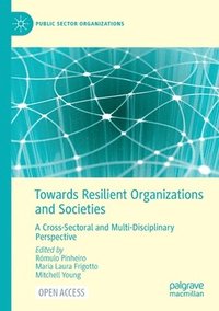 bokomslag Towards Resilient Organizations and Societies