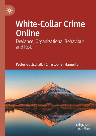 bokomslag White-Collar Crime Online