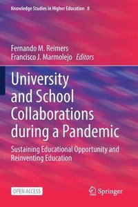 bokomslag University and School Collaborations during a Pandemic