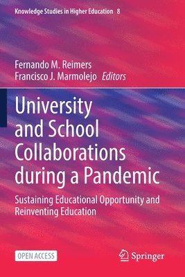 bokomslag University and School Collaborations during a Pandemic