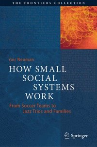 bokomslag How Small Social Systems Work