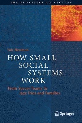 How Small Social Systems Work 1