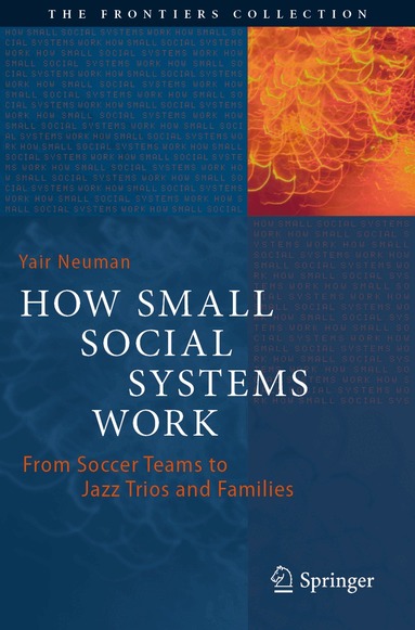 Yair Neuman - How Small Social Systems Work, Häftad