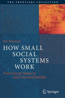 bokomslag How Small Social Systems Work