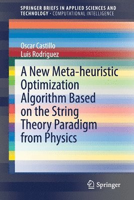 New Meta-heuristic Optimization Algorithm Based on the String Theory Paradigm from Physics