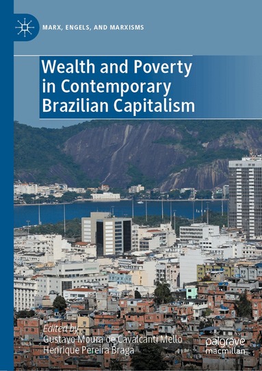 Gustavo Moura de Cavalcanti Mello, Henrique Pereira Braga - Wealth and Poverty in Contemporary Brazilian Capitalism, Inbunden
