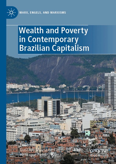 Gustavo Moura de Cavalcanti Mello, Henrique Pereira Braga - Wealth and Poverty in Contemporary Brazilian Capitalism, Häftad