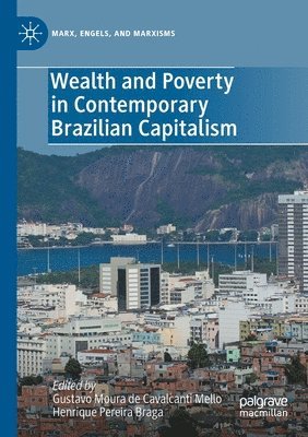 bokomslag Wealth and Poverty in Contemporary Brazilian Capitalism