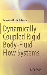 bokomslag Dynamically Coupled Rigid Body-Fluid Flow Systems