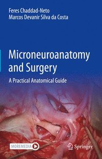 bokomslag Microneuroanatomy and Surgery