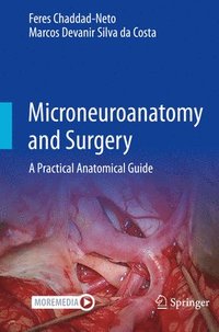 bokomslag Microneuroanatomy and Surgery