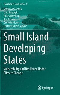 bokomslag Small Island Developing States