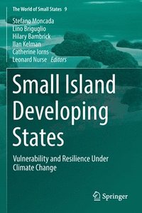 bokomslag Small Island Developing States