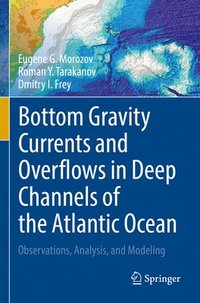 bokomslag Bottom Gravity Currents and Overflows in Deep Channels of the Atlantic Ocean