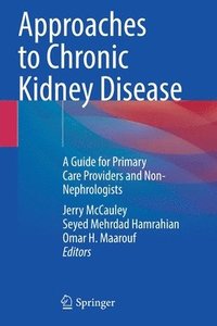 bokomslag Approaches to Chronic Kidney Disease