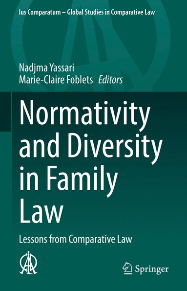 bokomslag Normativity and Diversity in Family Law