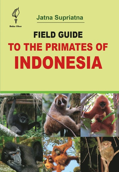 bokomslag Field Guide to the Primates of Indonesia