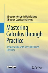 bokomslag Mastering Calculus through Practice