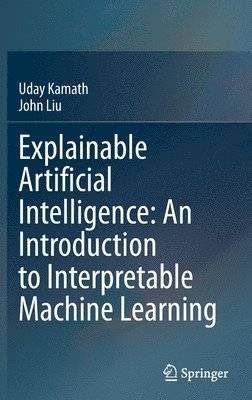 Explainable Artificial Intelligence: An Introduction to Interpretable Machine Learning