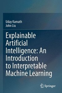 bokomslag Explainable Artificial Intelligence: An Introduction to Interpretable Machine Learning