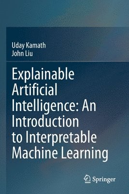 bokomslag Explainable Artificial Intelligence: An Introduction to Interpretable Machine Learning