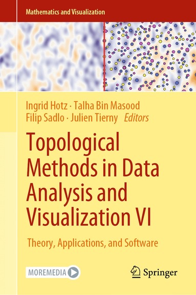 Ingrid Hotz, Talha Bin Masood, Filip Sadlo, Julien Tierny - Topological Methods in Data Analysis and Visualization VI, Inbunden