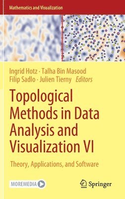 bokomslag Topological Methods in Data Analysis and Visualization VI