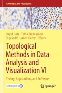 bokomslag Topological Methods in Data Analysis and Visualization VI