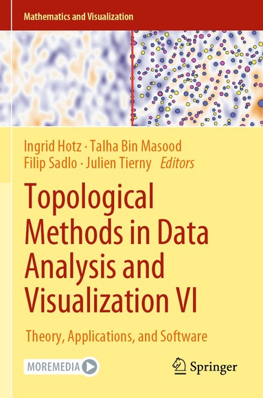 Ingrid Hotz, Talha Bin Masood, Filip Sadlo, Julien Tierny - Topological Methods in Data Analysis and Visualization VI, Häftad