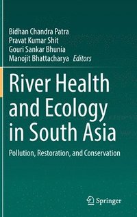 bokomslag River Health and Ecology in South Asia