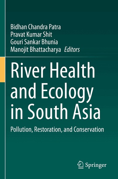 Bidhan Chandra Patra, Pravat Kumar Shit, Gouri Sankar Bhunia, Manojit Bhattacharya - River Health and Ecology in South Asia, Häftad