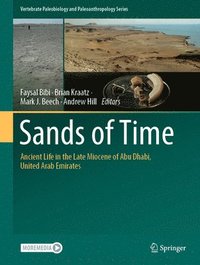 bokomslag Sands of Time