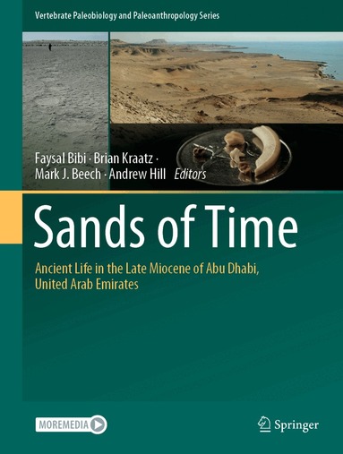 Faysal Bibi, Brian Kraatz, Mark J. Beech, Andrew Hill - Sands of Time, Inbunden